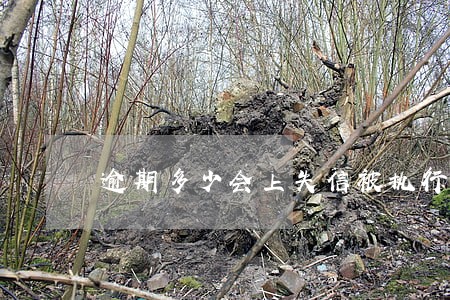 逾期多少会上失信被执行人名单 逾期多少会上失信被执行人名单