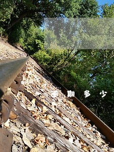 逾期多少会影响信用 逾期多少会影响信用