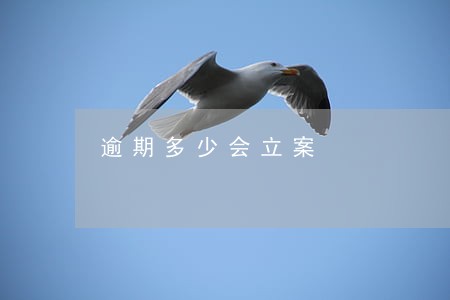 逾期多少会立案 逾期多少会立案