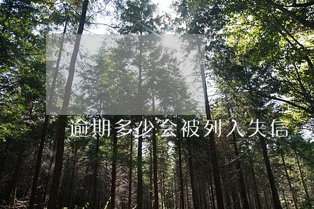 逾期多少会被列入失信