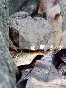 逾期多少会被判刑