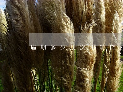逾期多少几次不能贷公积金贷款 逾期多少几次不能贷公积金贷款