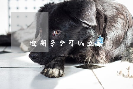 逾期多少可以立案 逾期多少可以立案