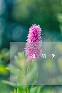 逾期多少天不能注册公司