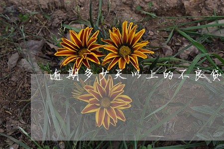 逾期多少天以上的不良贷款 逾期多少天以上的不良贷款