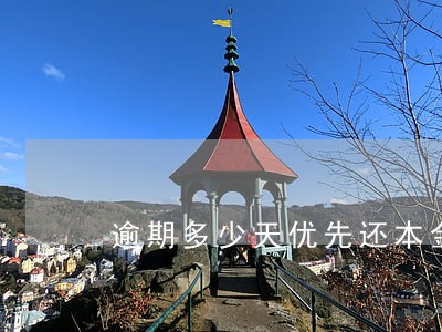 逾期多少天优先还本金 逾期多少天优先还本金