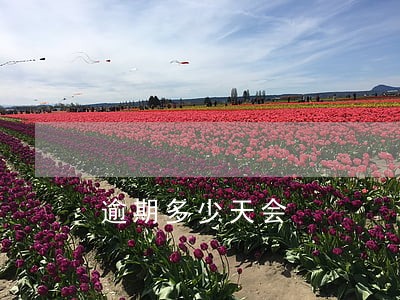 逾期多少天会 逾期多少天会