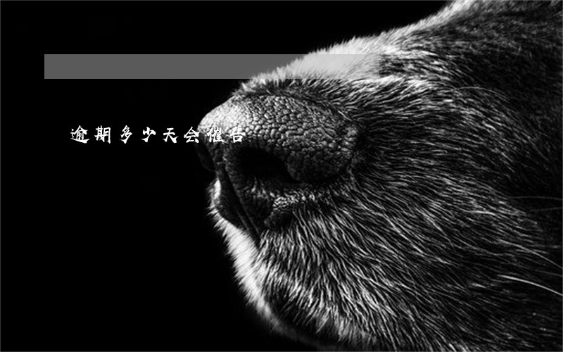 逾期多少天会催告 逾期多少天会催告