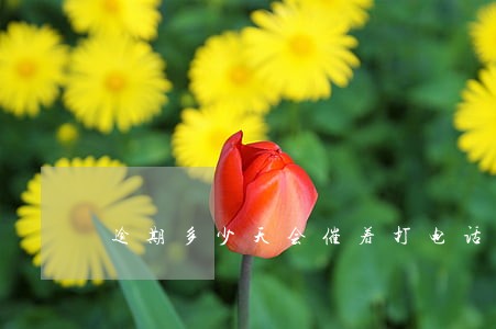 逾期多少天会催着打电话 逾期多少天会催着打电话