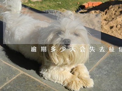 逾期多少天会失去征信 逾期多少天会失去征信