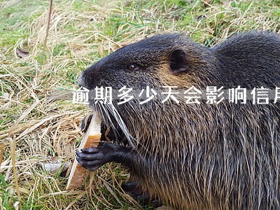 逾期多少天会影响信用 逾期多少天会影响信用