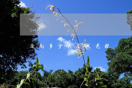 逾期多少天会成老赖 逾期多少天会成老赖