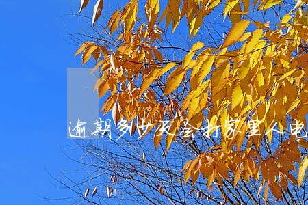 逾期多少天会打家里人电话 逾期多少天会打家里人电话
