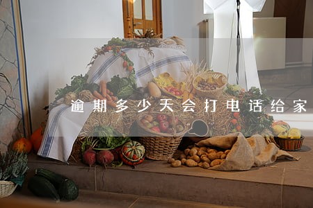 逾期多少天会打电话给家人 逾期多少天会打电话给家人