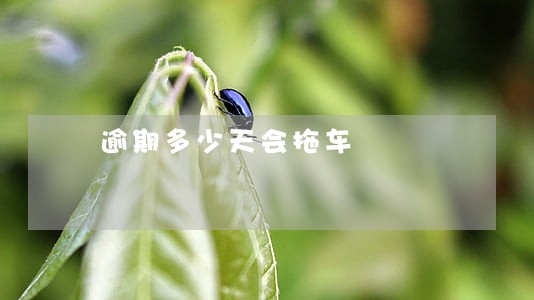 逾期多少天会拖车 逾期多少天会拖车