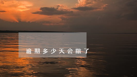 逾期多少天会撤了 逾期多少天会撤了