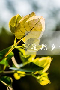 逾期多少天会收到传票 逾期多少天会收到传票
