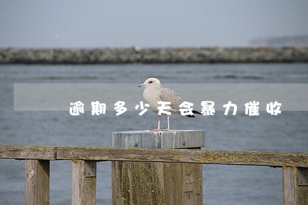逾期多少天会暴力催收