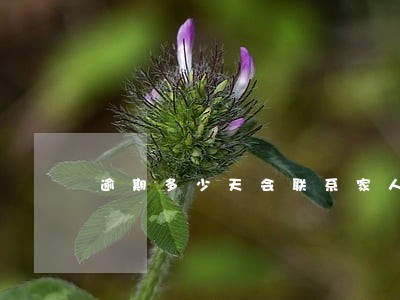 逾期多少天会联系家人 逾期多少天会联系家人
