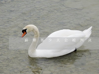 逾期多少天会被判决 逾期多少天会被判决