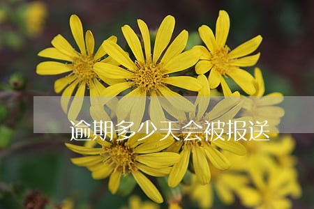 逾期多少天会被报送 逾期多少天会被报送