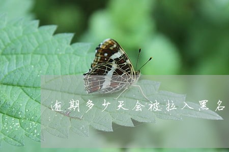 逾期多少天会被拉入黑名单 逾期多少天会被拉入黑名单