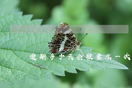 逾期多少天会被要求一次性还款 逾期多少天会被要求一次性还款