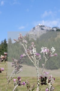 逾期多少天关次级贷款 逾期多少天关次级贷款