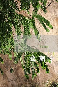 逾期多少天分为次级类贷款 逾期多少天分为次级类贷款