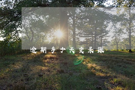 逾期多少天变呆账