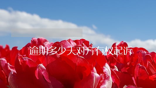 逾期多少天对方有权起诉 逾期多少天对方有权起诉