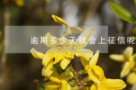 逾期多少天就会上征信呢 逾期多少天就会上征信呢