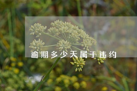 逾期多少天属于违约 逾期多少天属于违约