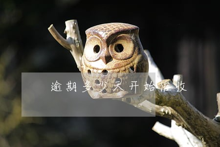 逾期多少天开始催收 逾期多少天开始催收
