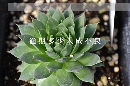 逾期多少天成不良