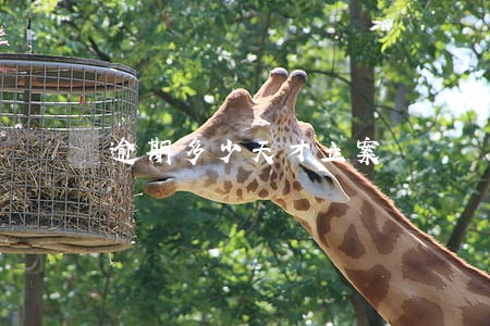 逾期多少天才立案 逾期多少天才立案