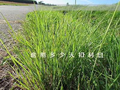 逾期多少天扣利息 逾期多少天扣利息