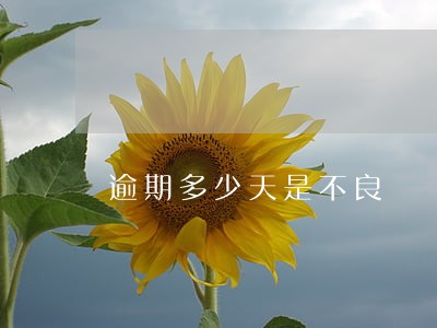 逾期多少天是不良 逾期多少天是不良