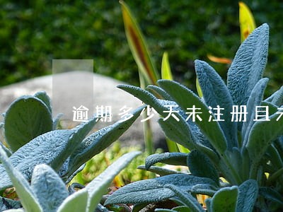 逾期多少天未注册且未办理请假 逾期多少天未注册且未办理请假