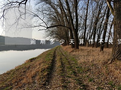 逾期多少天算作不良贷款 逾期多少天算作不良贷款