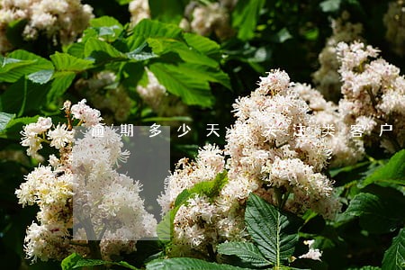 逾期多少天算关注类客户 逾期多少天算关注类客户