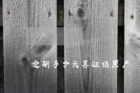 逾期多少天算征信黑户
