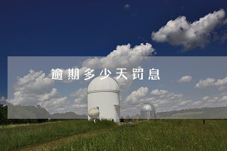 逾期多少天罚息 逾期多少天罚息