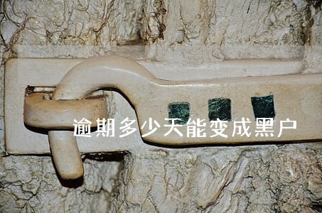逾期多少天能变成黑户 逾期多少天能变成黑户