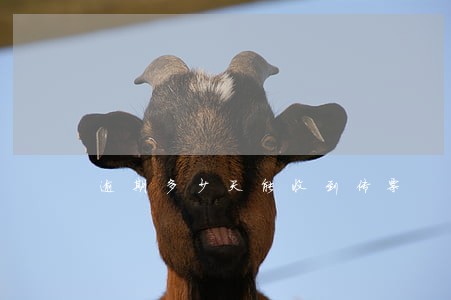 逾期多少天能收到传票 逾期多少天能收到传票