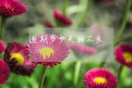 逾期多少天转不良 逾期多少天转不良