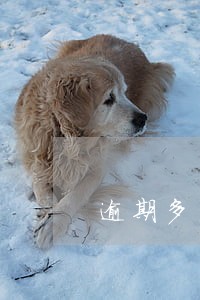 逾期多少恢复正常 逾期多少恢复正常