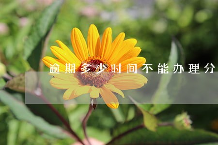 逾期多少时间不能办理分期 逾期多少时间不能办理分期