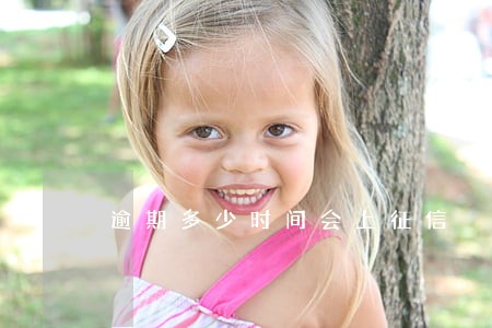 逾期多少时间会上征信