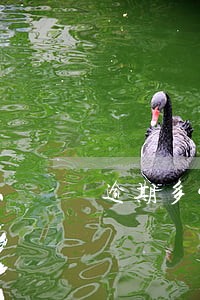 逾期多少时间才催收 逾期多少时间才催收